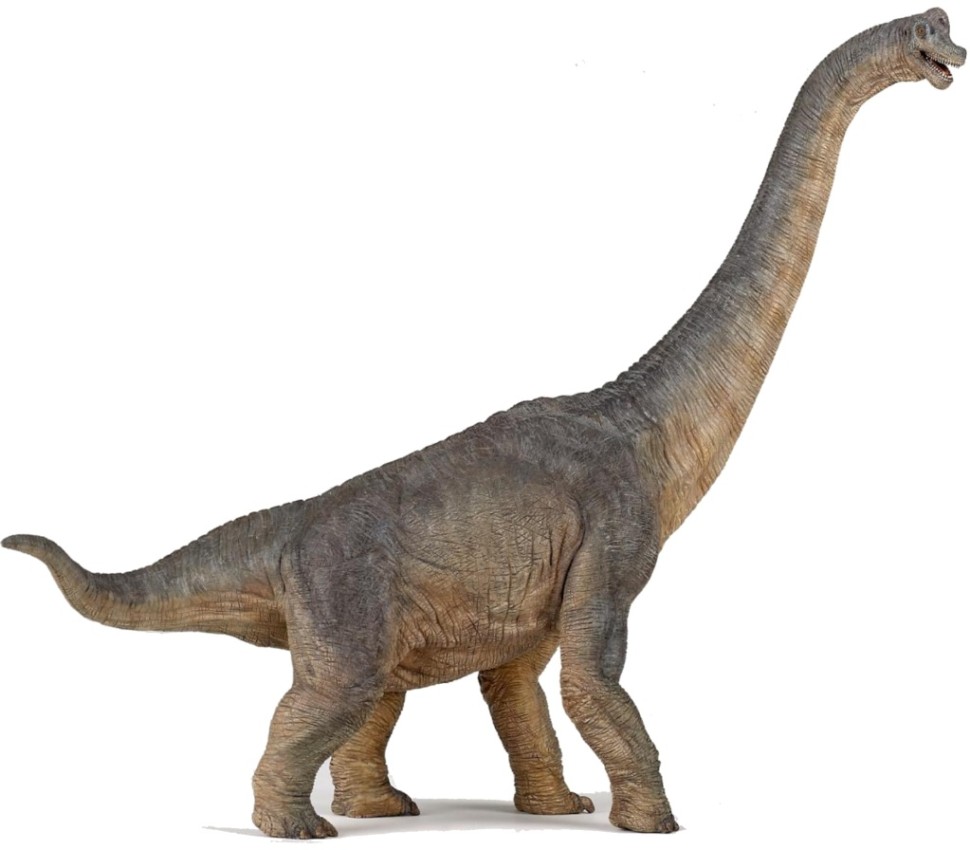 Брахиозавр 39 см Brachiosaurus — фигурка-игрушка динозавра фото