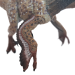 Велосираптор пернатый с подвижной челюстью Feathered Velociraptor — фигурка игрушка динозавра фото - 6