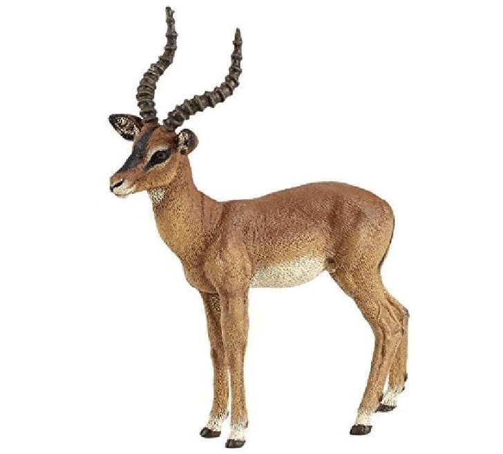 11 Aepyceros melampus Papo 50186